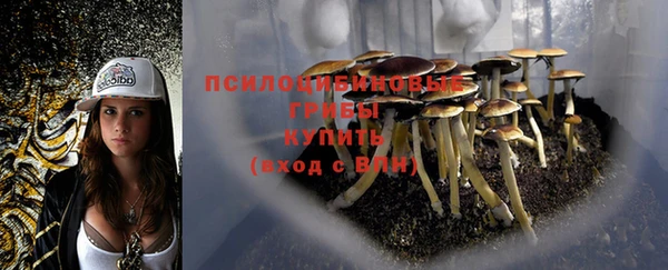 мескалин Алексеевка